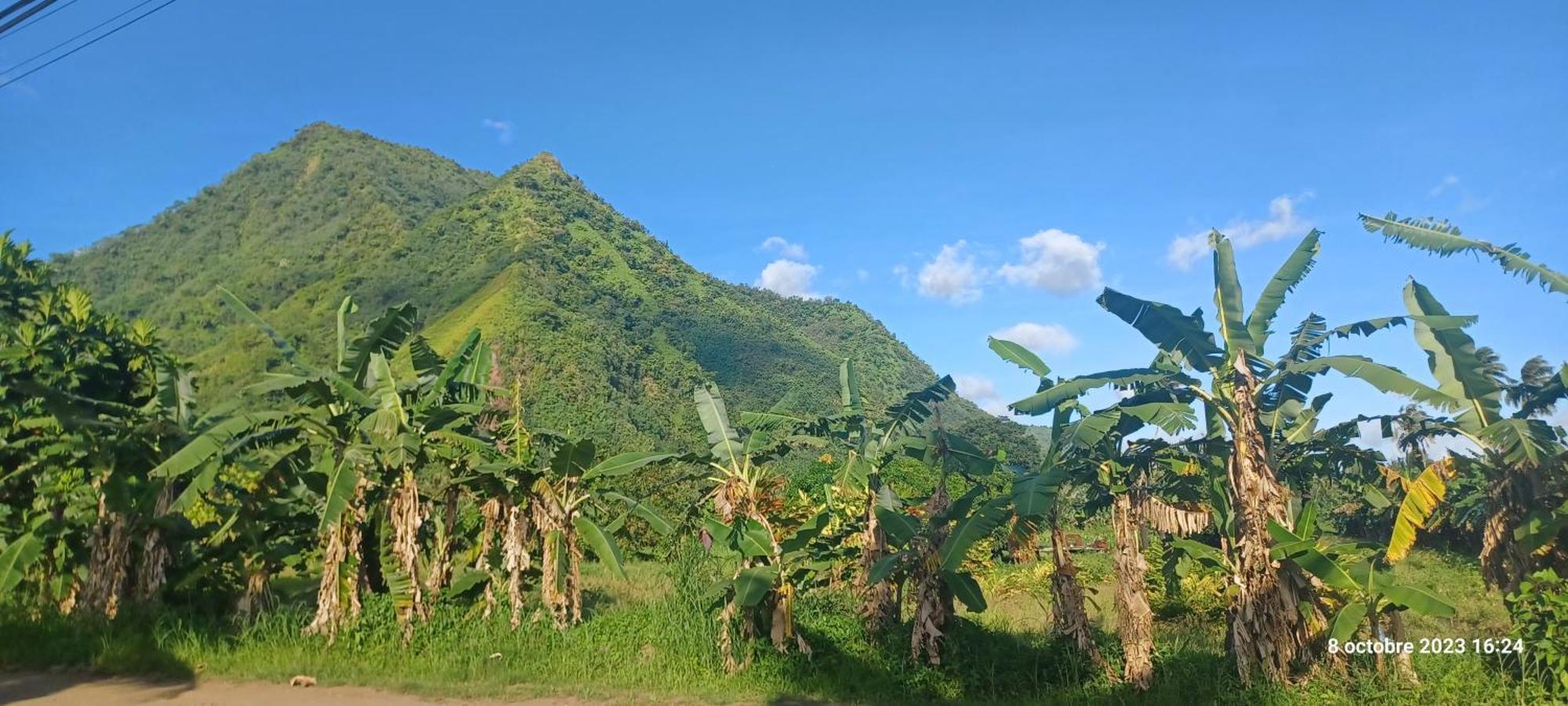 Hava'E Lodge Teahupoo Exteriör bild